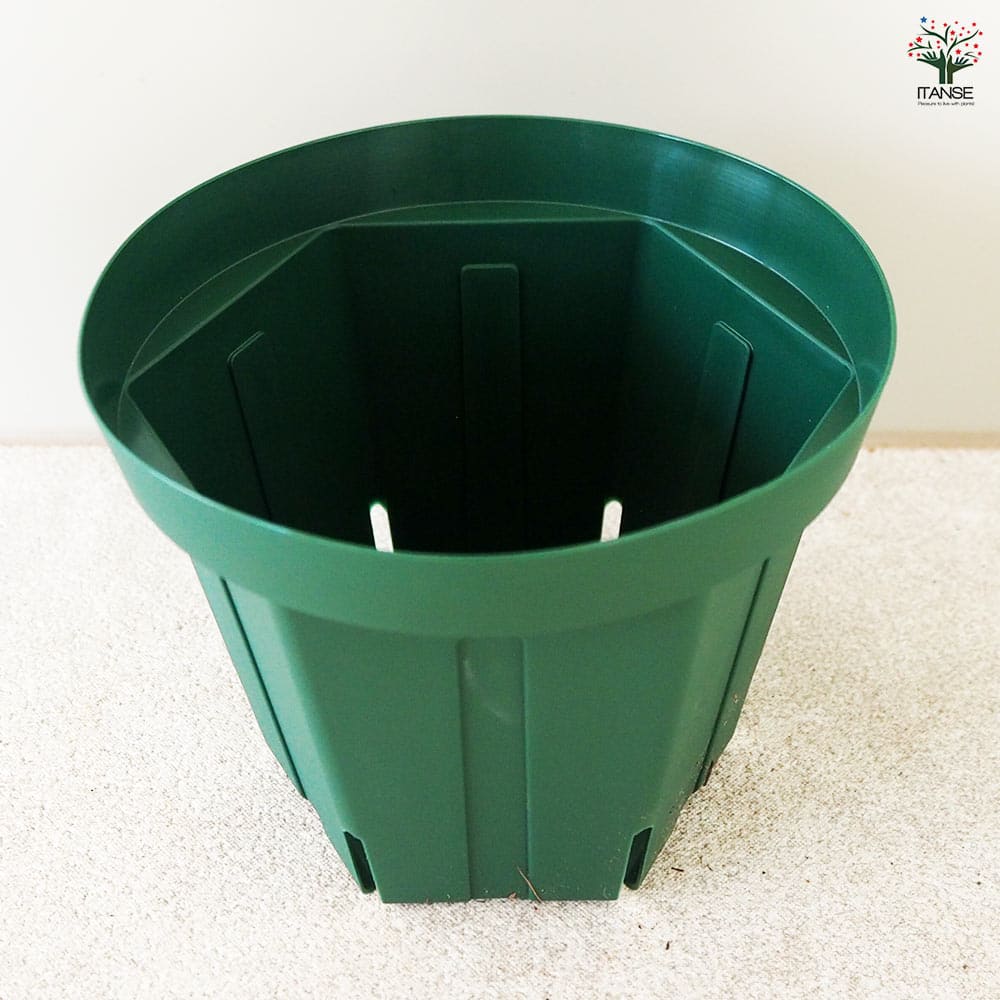 スリット鉢 【プラ鉢 4.5号】｜ 【植物のITANSE】全品送料無料