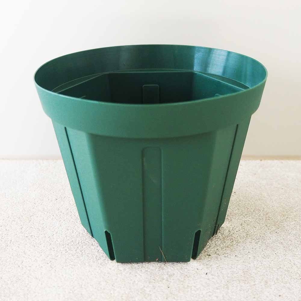 スリット鉢 【プラ鉢 4.5号】｜ 【植物のITANSE】全品送料