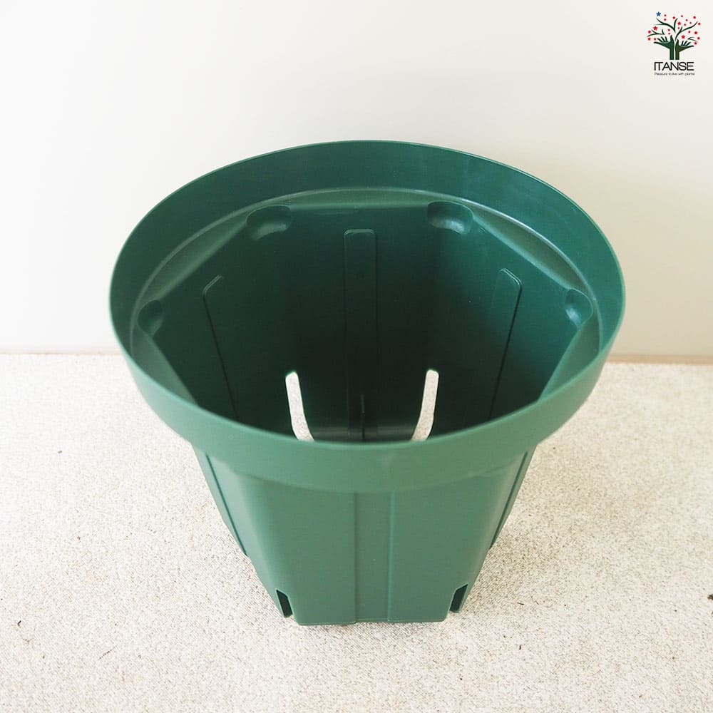 スリット鉢 【プラ鉢 5号】｜ 【植物のITANSE】全品送料無料・即