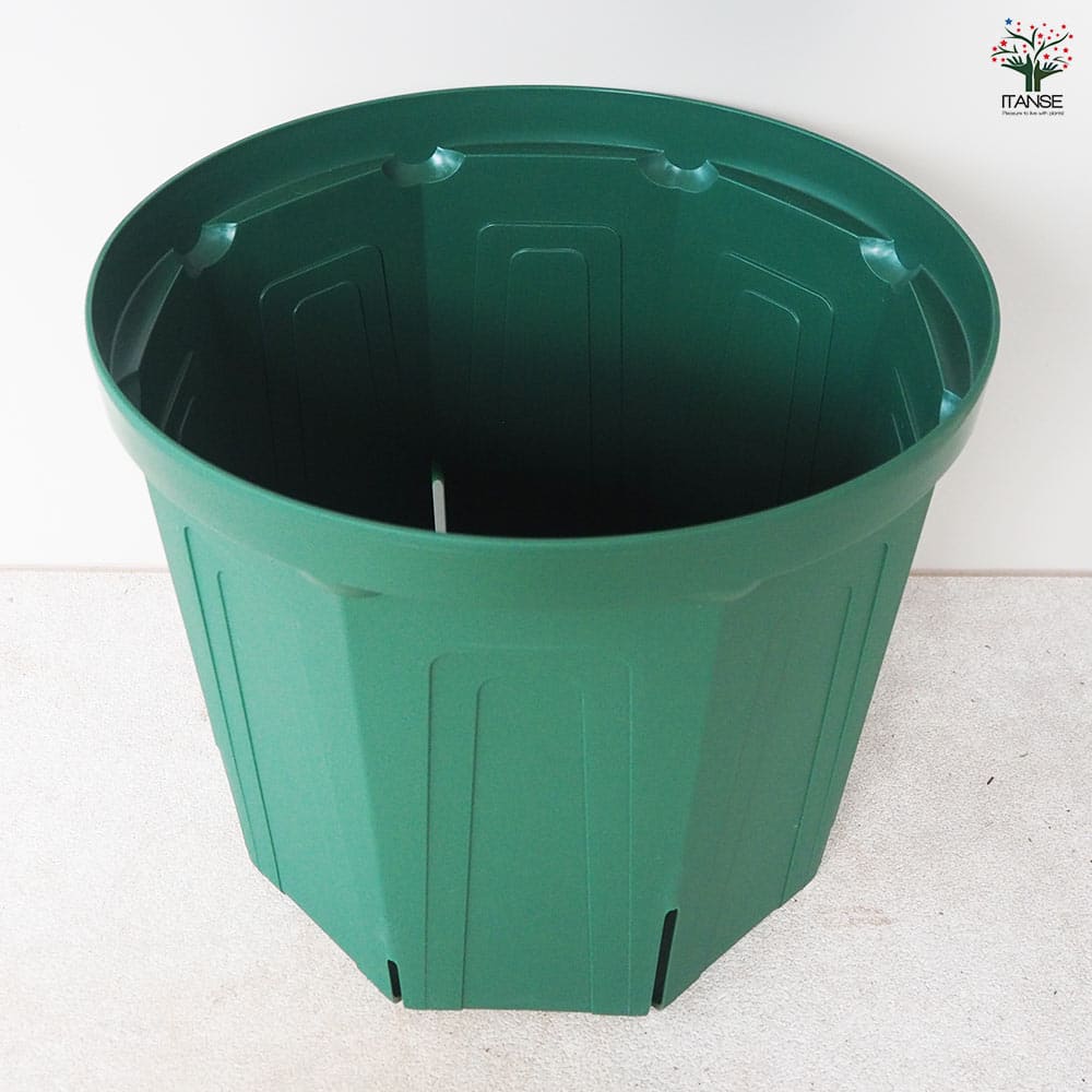 スリット鉢 【プラ鉢 12号】｜ 【植物のITANSE】全品送料無料