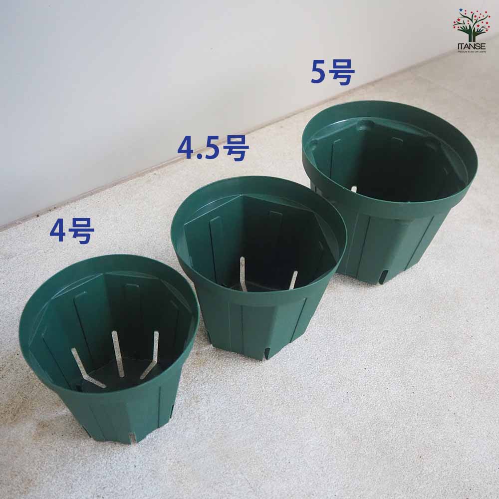 スリット鉢 【プラ鉢 4号 4.5号 5号セット】｜ 【植物のITANSE