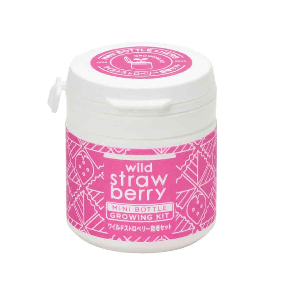 栽培セット ミニボトルハーブス Wストロベリー  【1個売り】