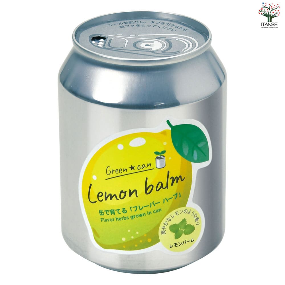 栽培セット グリーンカン レモンバーム 【1個売り】｜ 【植物の