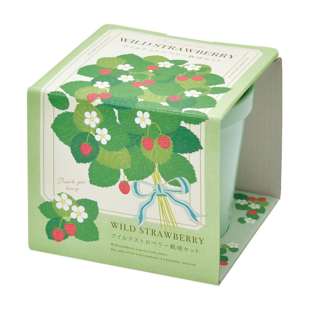 栽培セット サンクスガーデン Wストロベリー 【1個売り】｜ 【植物の