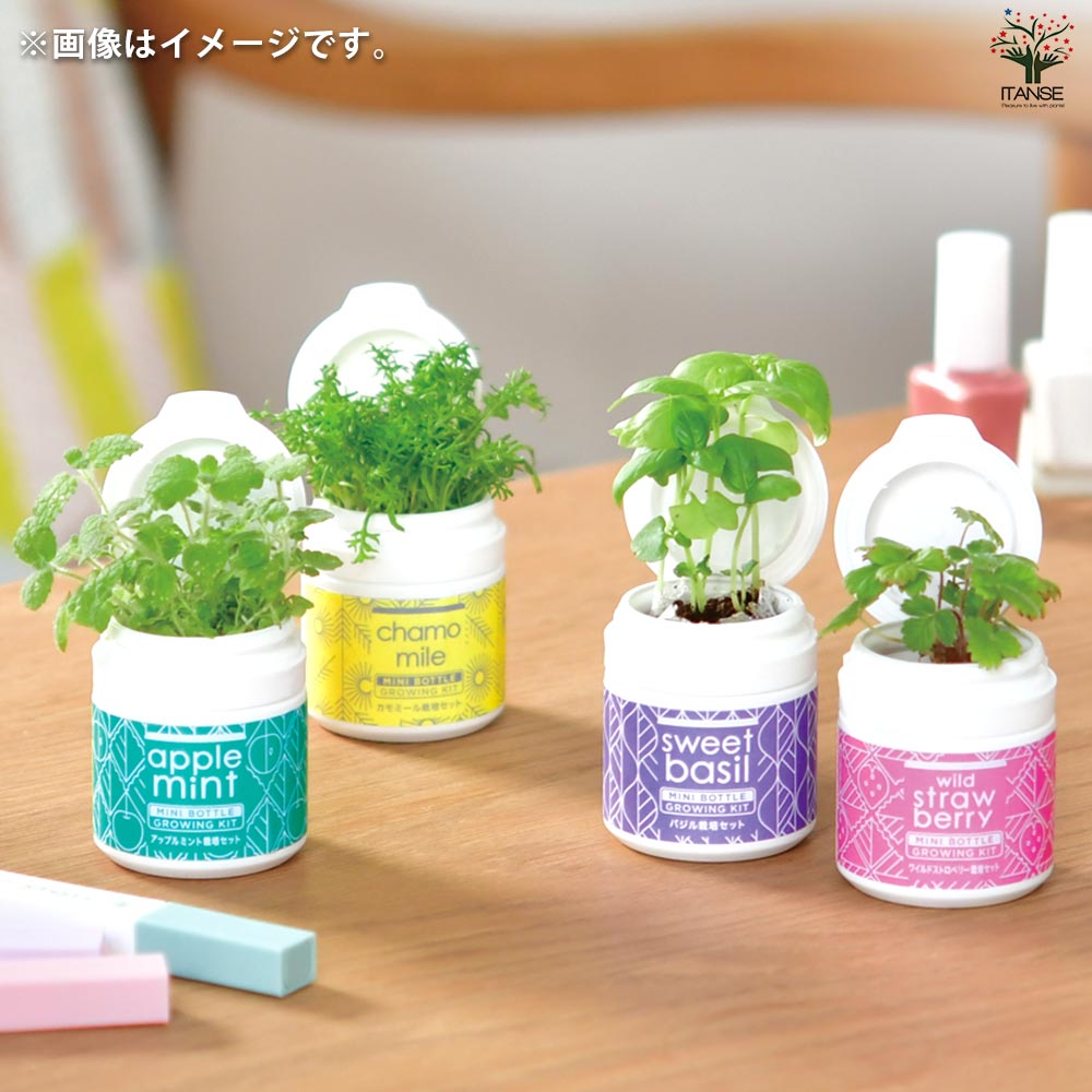 ミントセット　mint set 11セット Yahoo!オークション -「ミントセット2021」(硬貨) (貨幣)の落札