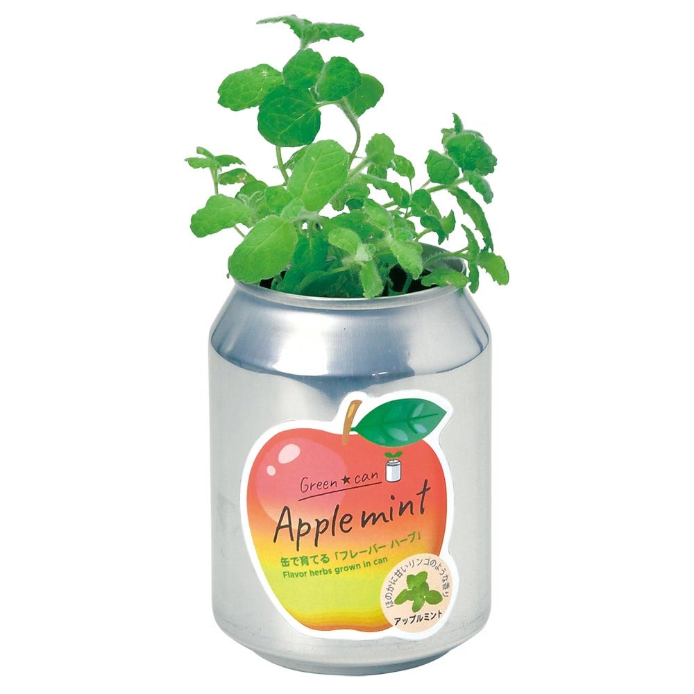 栽培セット グリーンカン アップルミント  【1個売り】
