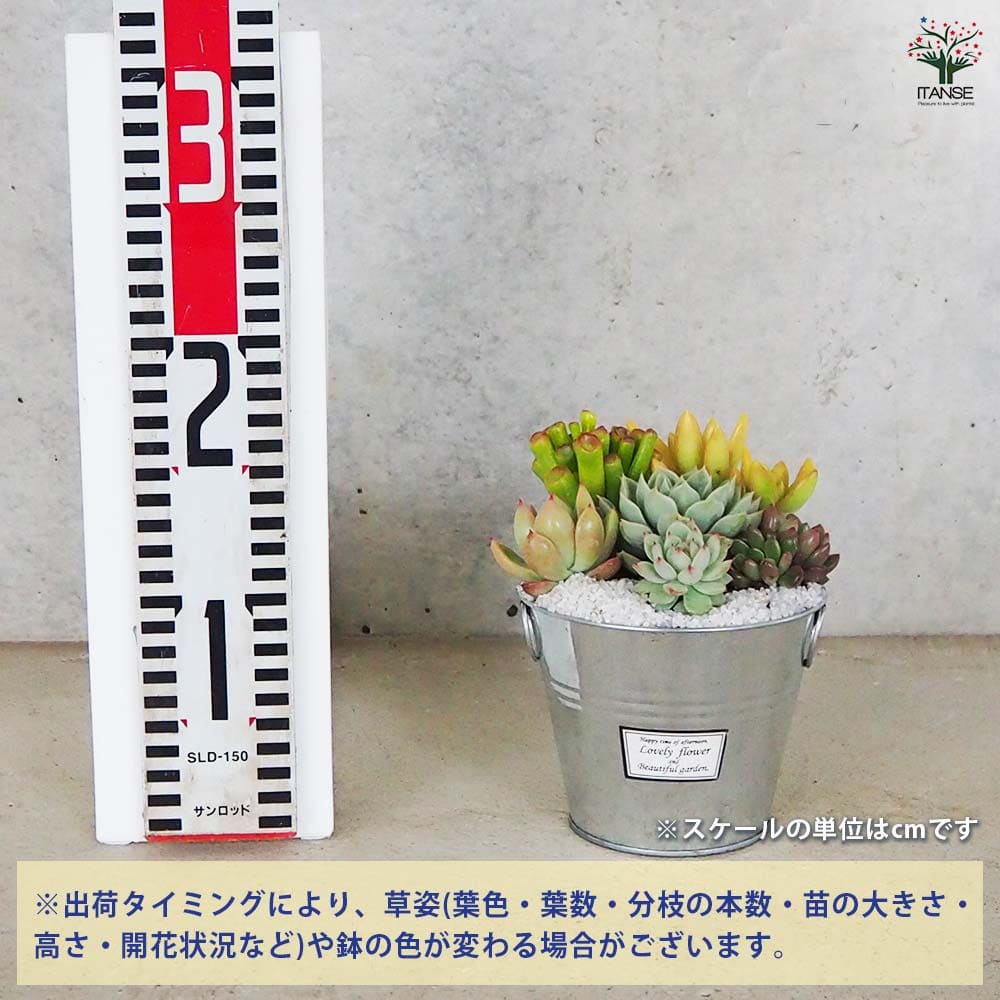 追加商品画像