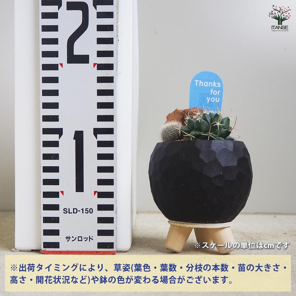 追加商品画像