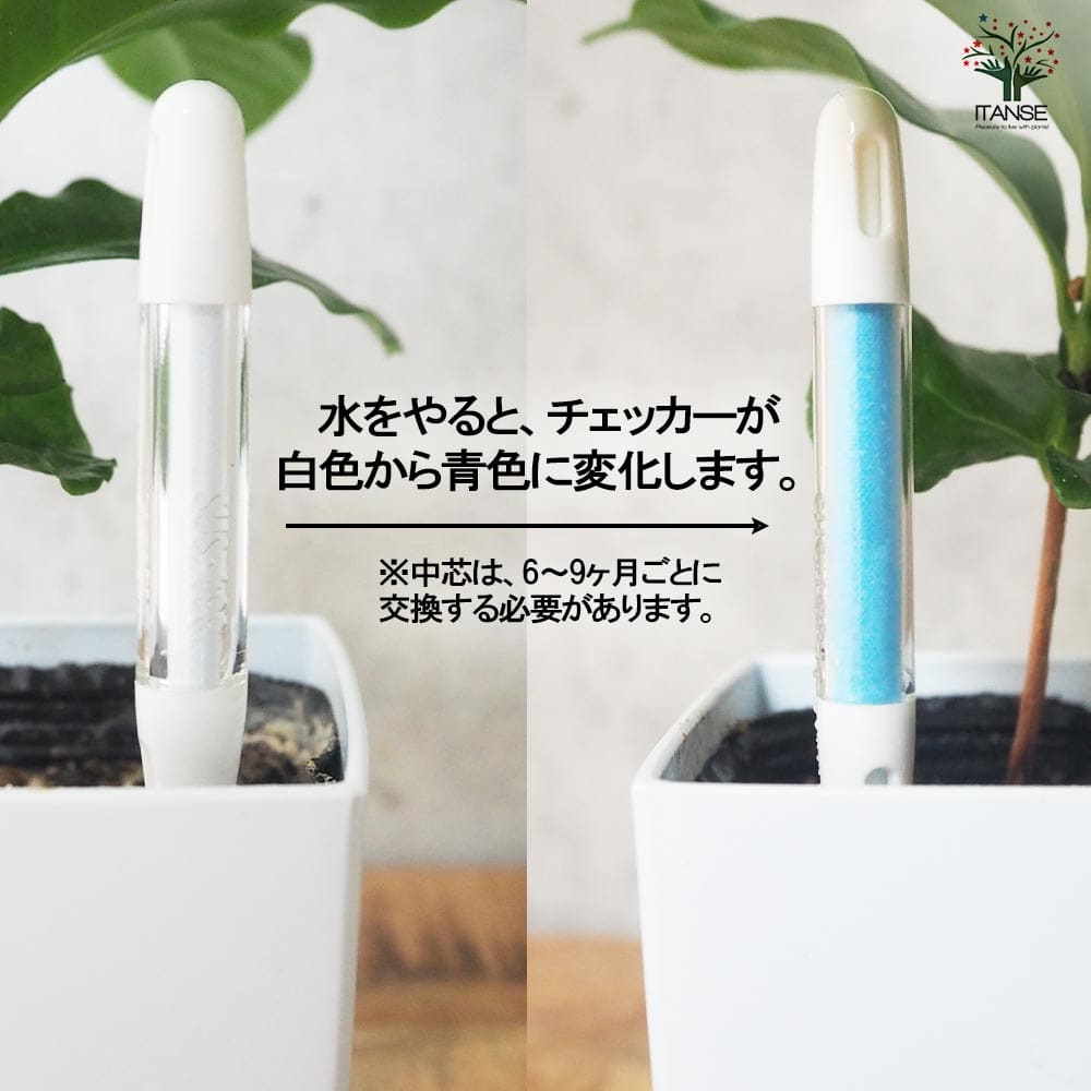 追加商品画像