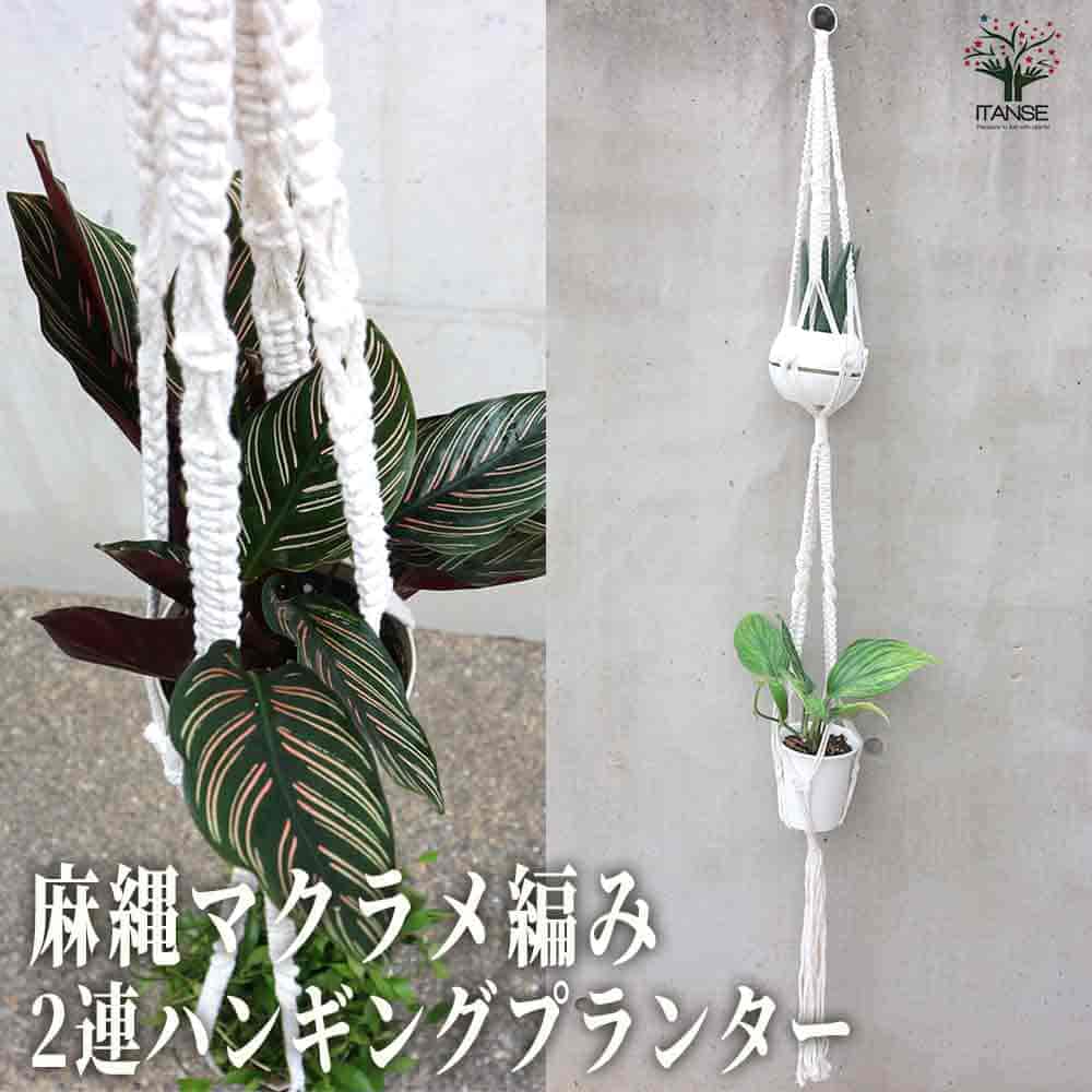 麻縄マクラメ編み 16番 2連ハンギングプランター 【ハンギング資材 】
