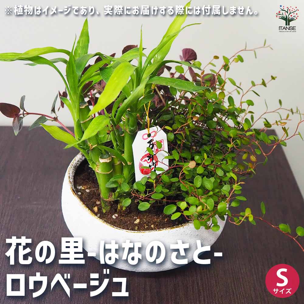 花の里-はなのさと- ロウベージュ 【陶器鉢 S】