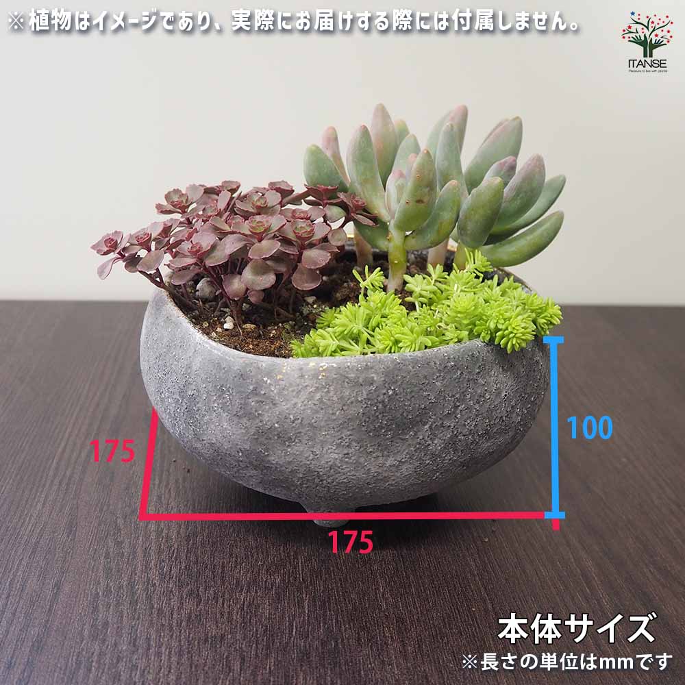 花の里-はなのさと- ロウグレイ 【陶器鉢 S】｜ 【植物のITANSE