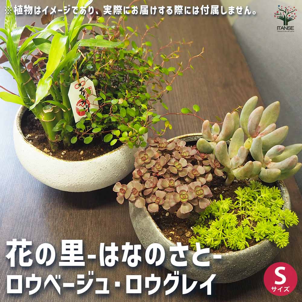 花の里-はなのさと- ロウ2色(ベージュ・グレイ) 【陶器鉢 S】