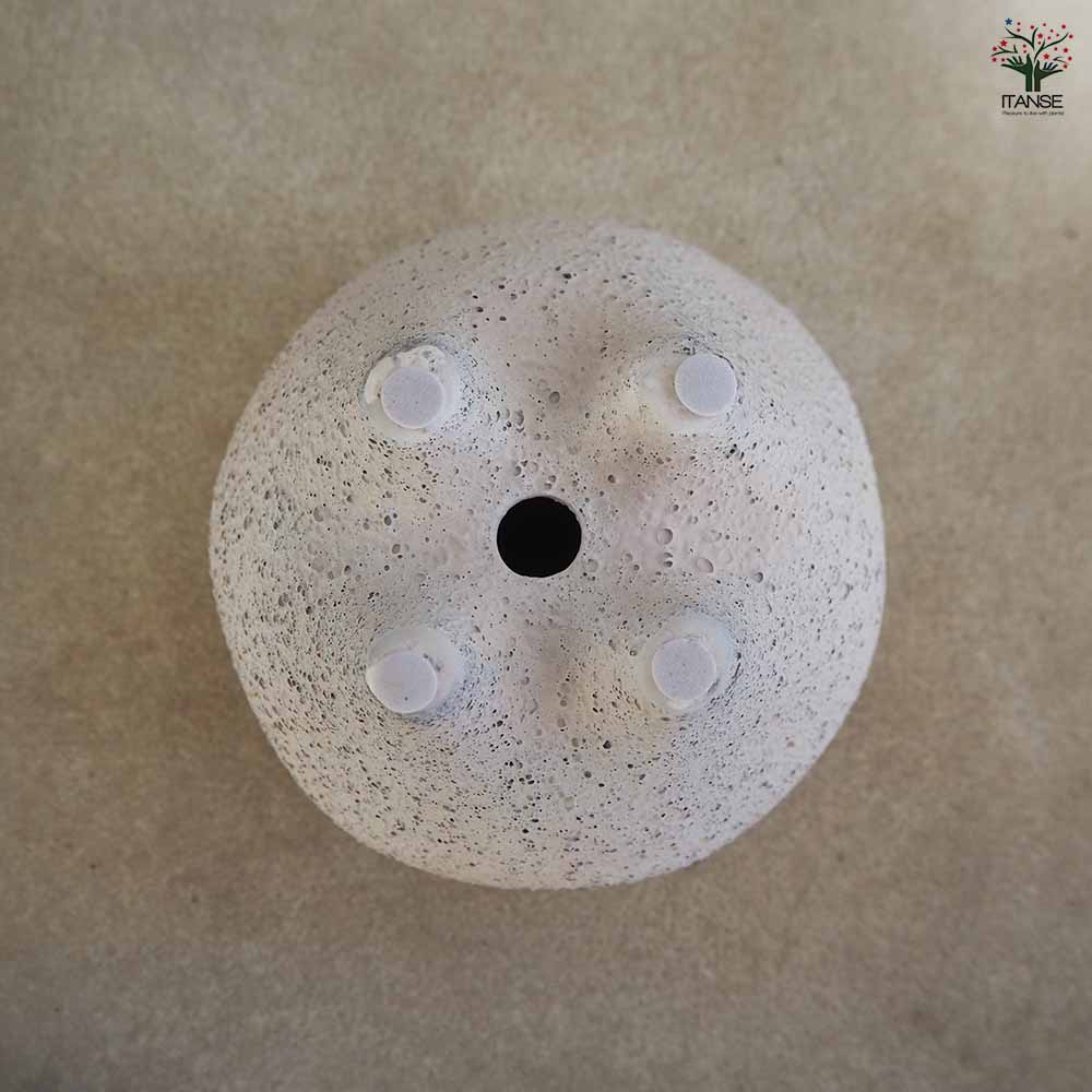 花の里-はなのさと- ベージュ 【陶器鉢 M】｜ 【植物のITANSE