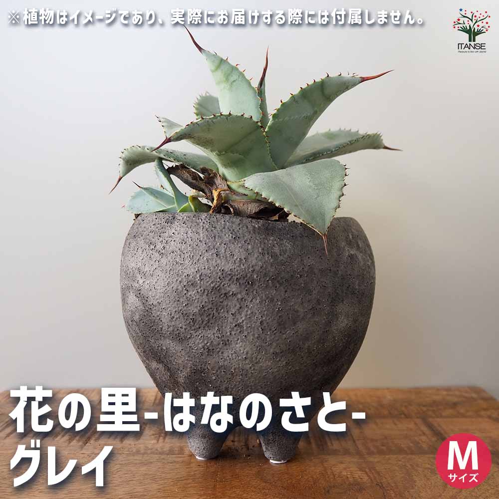 花の里-はなのさと- グレイ 【陶器鉢 M】｜ 【植物のITANSE