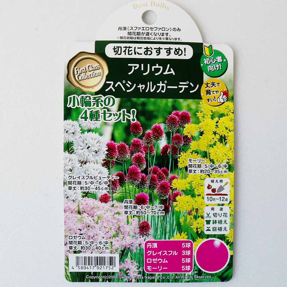 球根 アリウム スペシャルガーデン 【花球根 混合10球 】