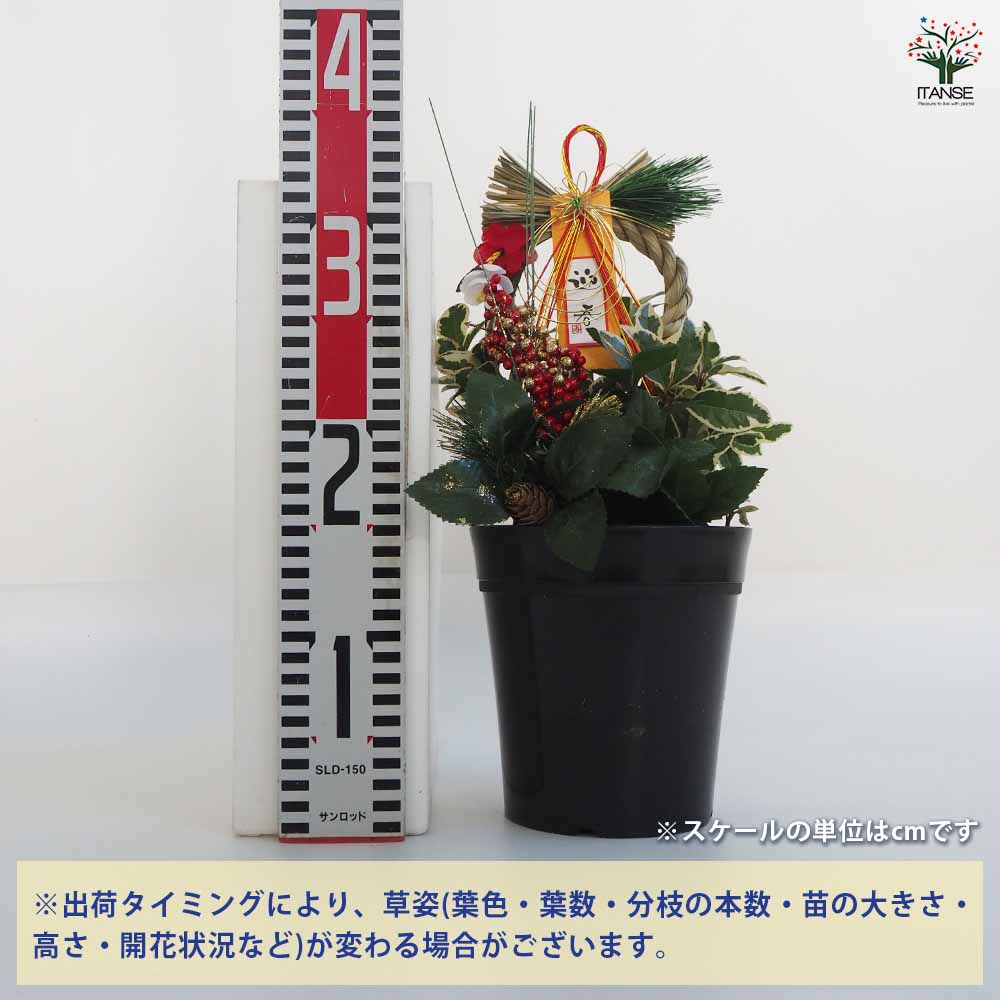 ヤマグチコウジ作 花器及びオーナメント ヤマグチコウジ作 花器及び