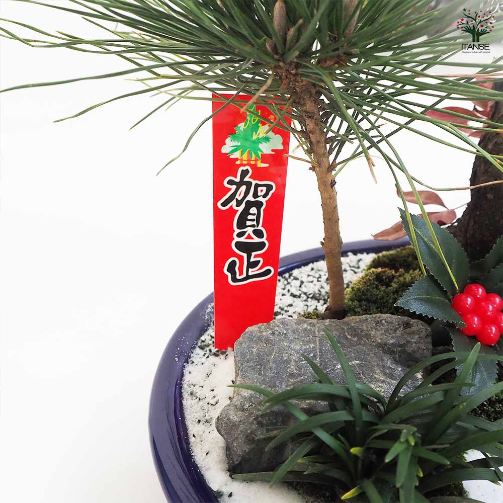 お正月飾り 花梅 迎春寄植えアレンジ 【正月飾り 大皿11号