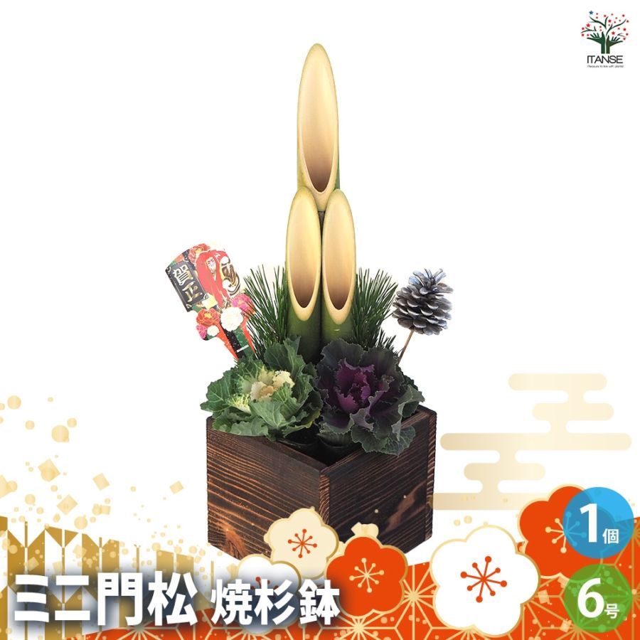 門松(かどまつ) ミニ門松 焼き杉鉢 【正月飾り 6号鉢】