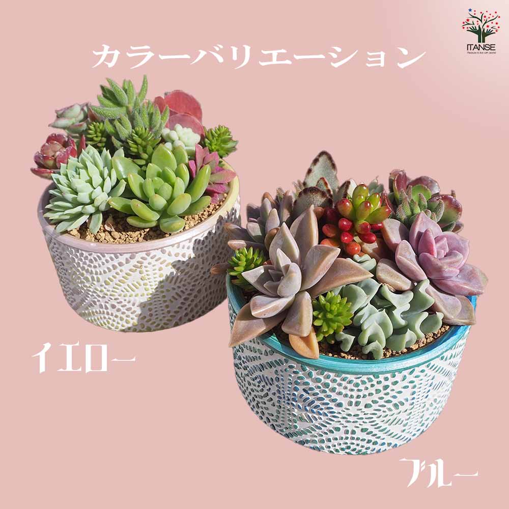 追加商品画像