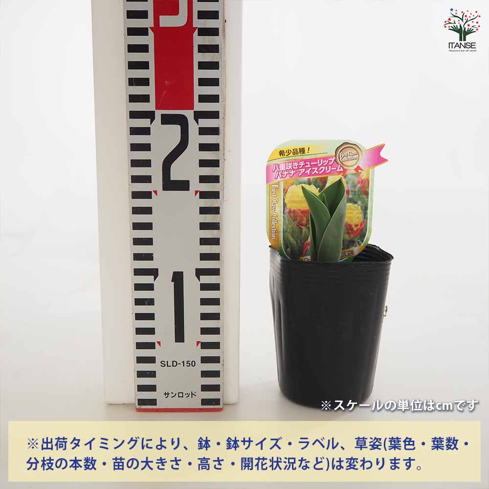 追加商品画像