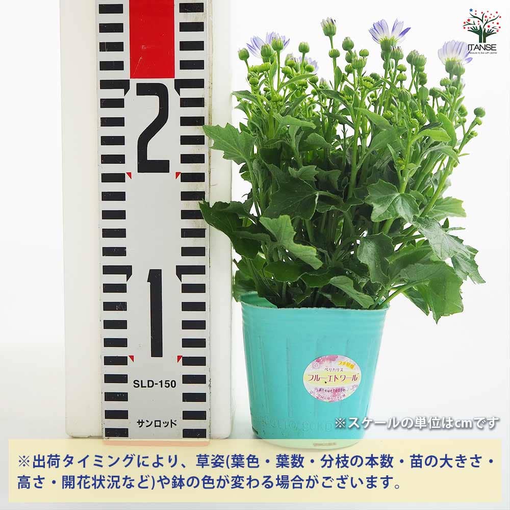 追加商品画像