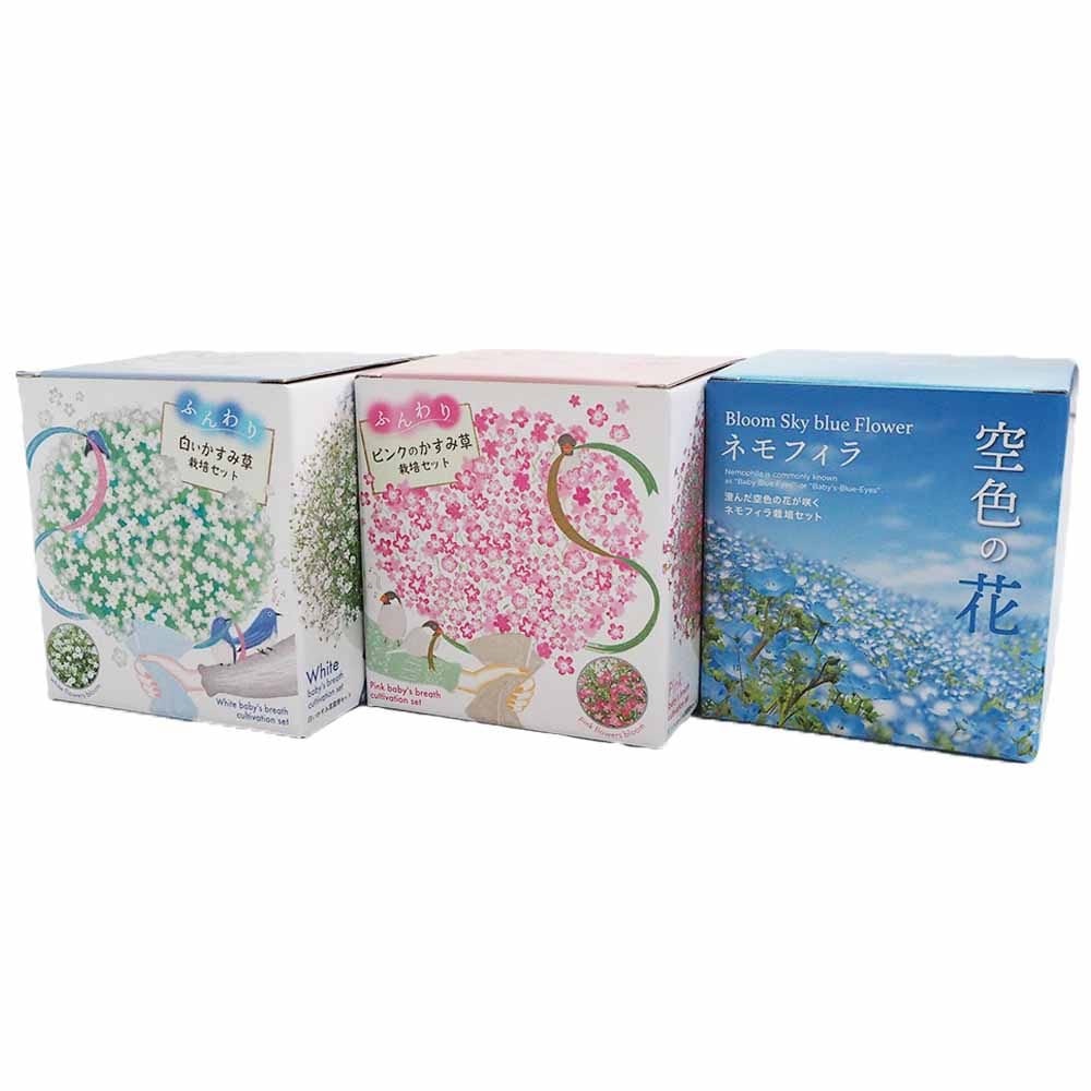 栽培セット お花シリーズ