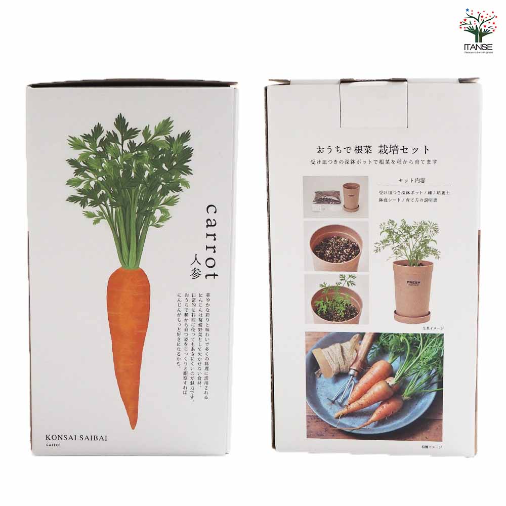 訳あり品④16種（32種）のお野菜セット カッティングダイ 訳あり品① 16種（32種）のお野菜セット カッティングダイ