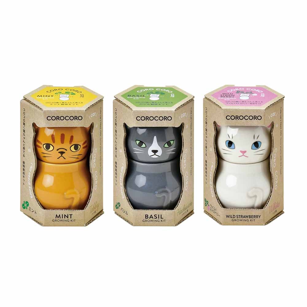 栽培セット コロコロキャット