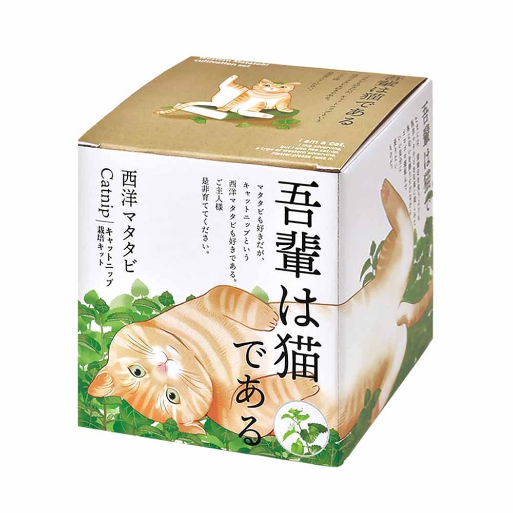 栽培セット 西洋マタタビ キャットニップ