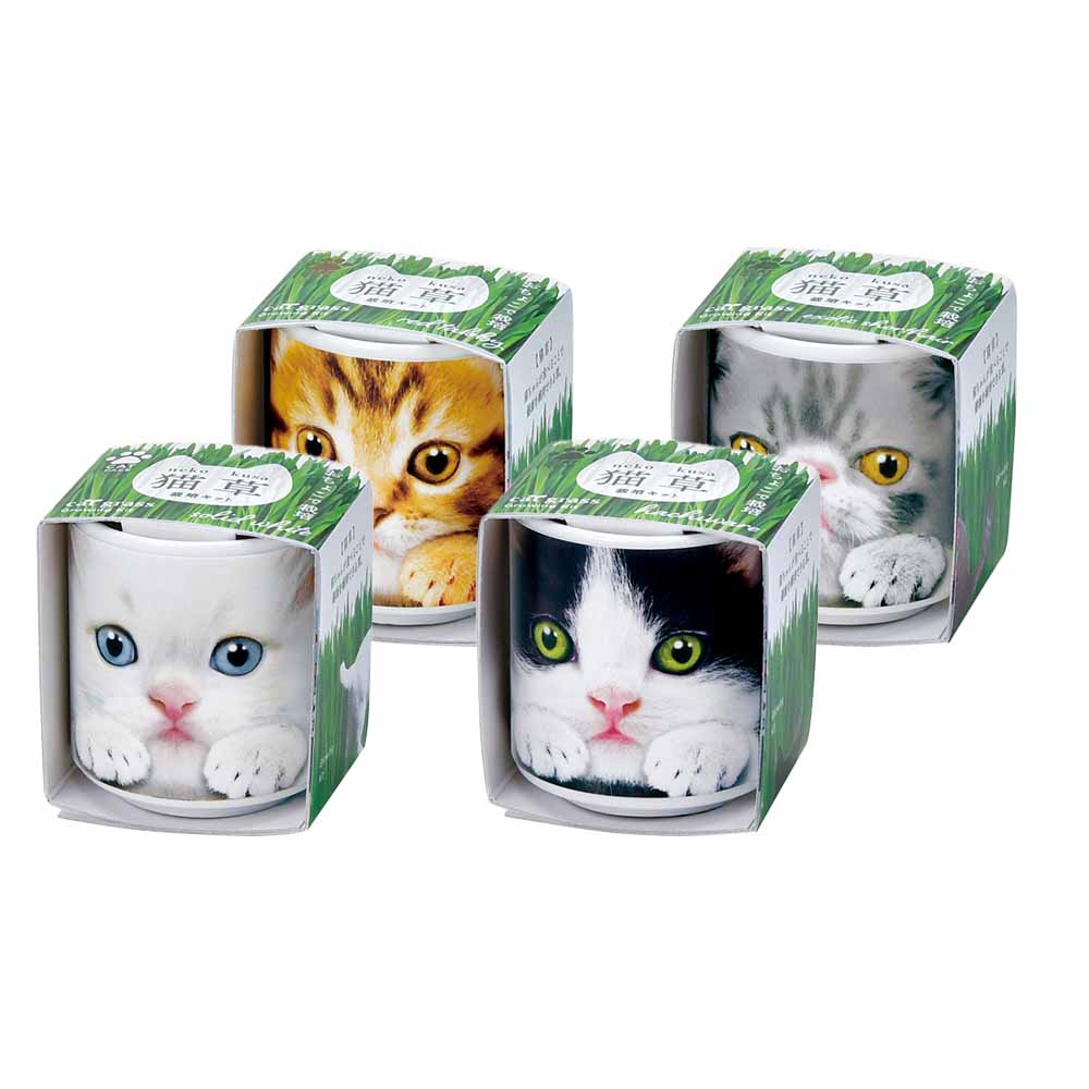 栽培セット おちょこで猫草