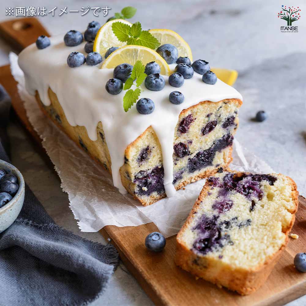 ブルーベリー ティフブルー 【果樹の苗木 6号／1個売り】｜ 【植物の