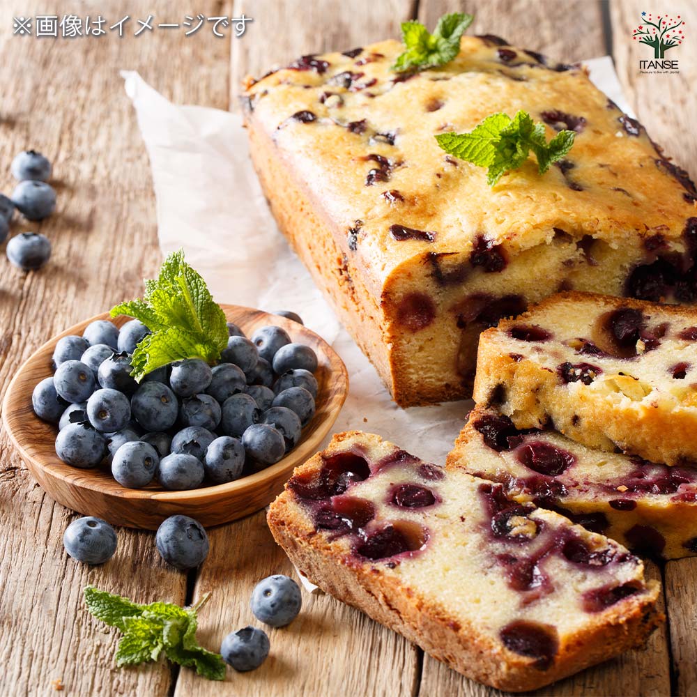 ブルーベリー苗　デライト5号ポット8本セット 楽天市場】ブルーベリー （ 5年生 ） 7号ポット苗木 大苗 【 選べる