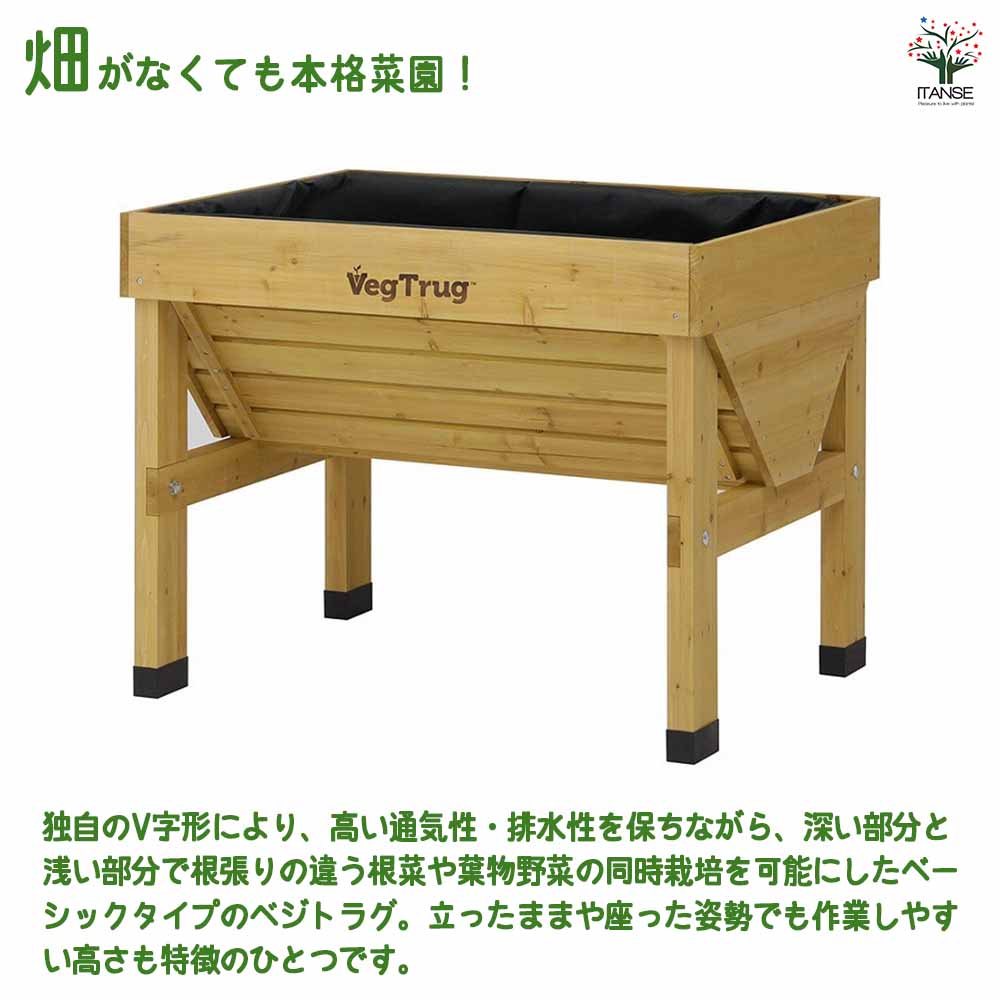 VegTrug ホームベジトラグS ベジトラグ ホームベジトラグS 【資材 ／1個売り】｜ 【植物の