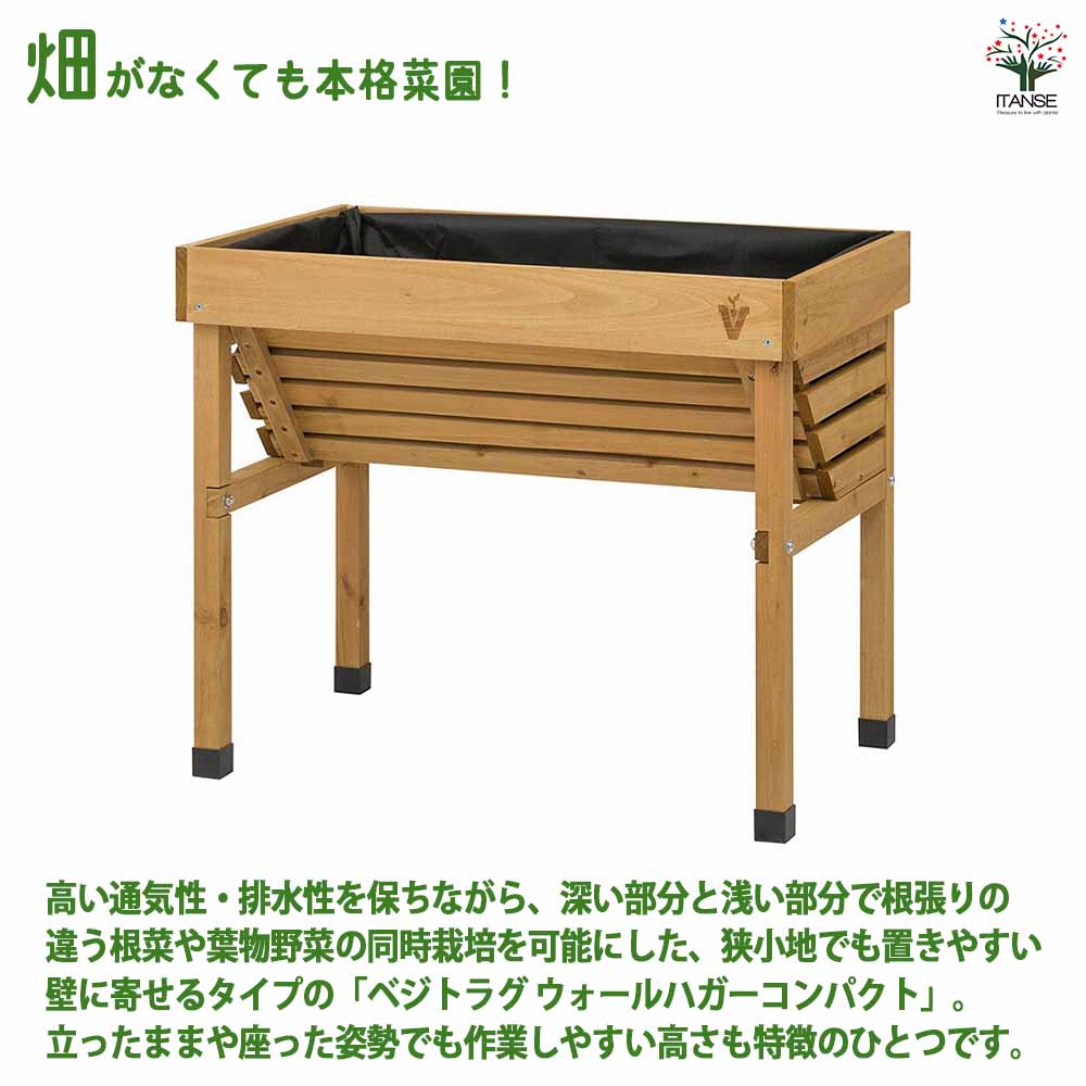 ベジトラグ ホームベジトラグ ウォールハガーコンパクト 【資材 ／1個