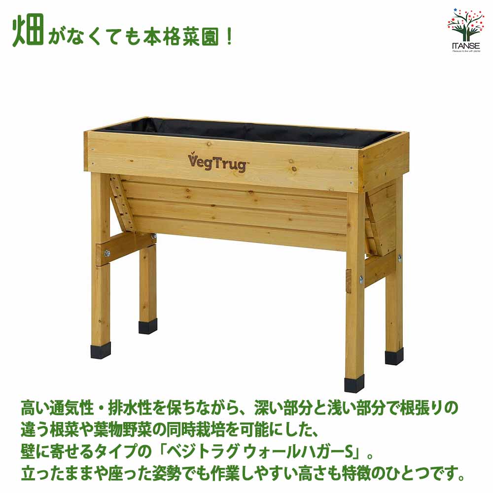 ベジトラグ ホームベジトラグ ウォールハガーS 【資材 ／1個売り