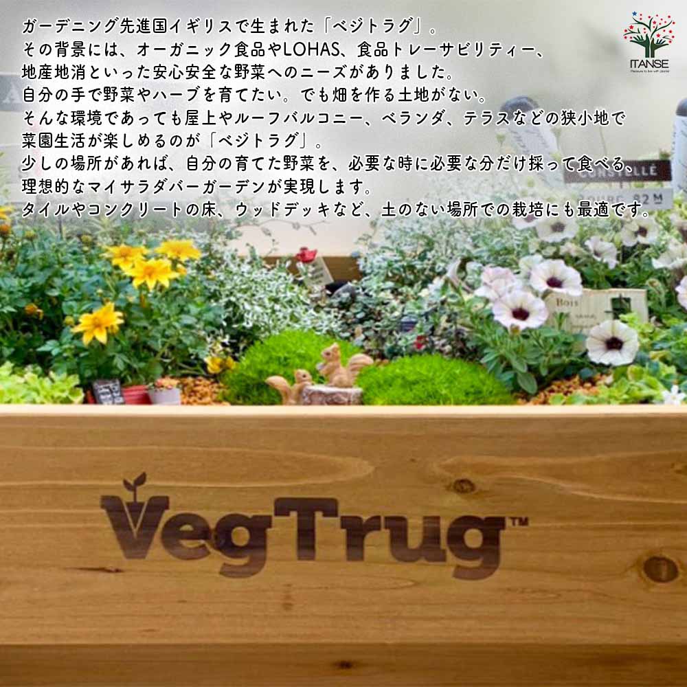 ベジトラグ ポピーGo 【資材 】｜ 【植物のITANSE】全品送料無料