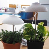 植物育成用ライト 傘型育成ライトスティック 【育成グッズ 】|用土肥料・園芸資材
