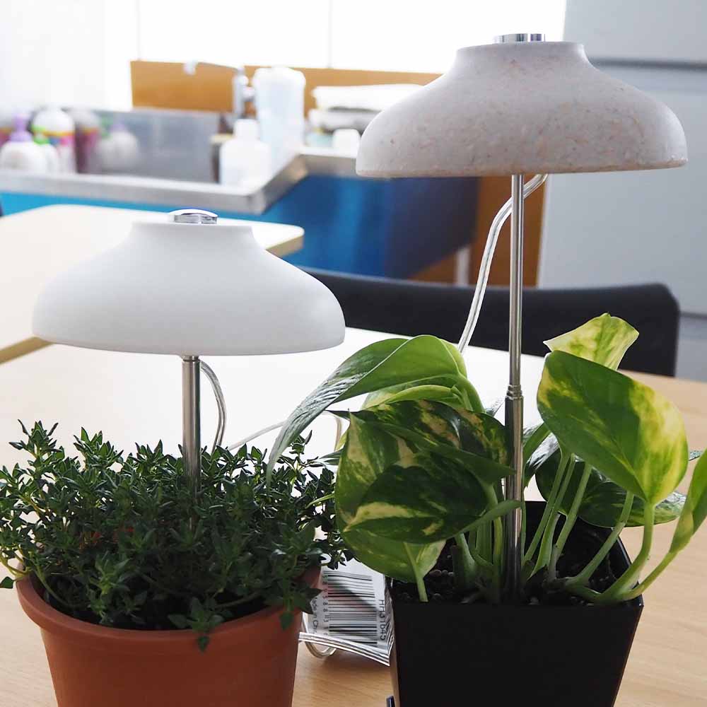 植物育成用ライト 傘型育成ライトスティック 【育成グッズ 】｜ 【植物