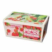栽培セット エンジョイプランター イチゴ  【1個売り】|栽培セット