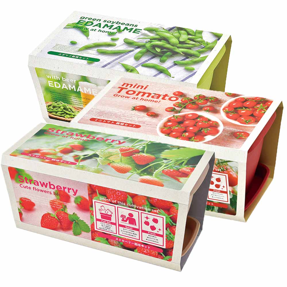 栽培セット エンジョイプランター3種セット【枝豆・トマト・苺 各1個セット(計3個)】