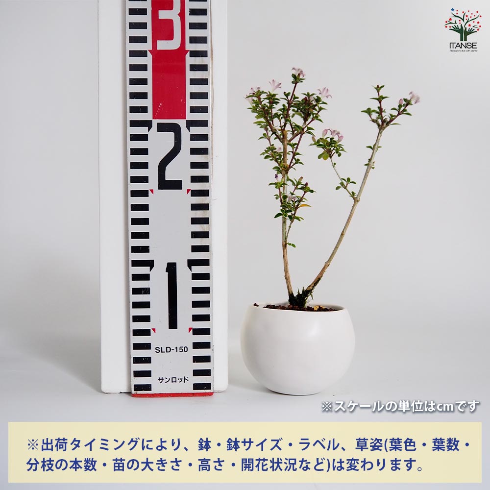 コウ　再出品 ヒロセ電機、基板対ケーブル用コネクタ「KW10Aシリーズ」発売