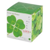 栽培セット きっとみつかる四つ葉のクローバー  【1個売り】|栽培セット
