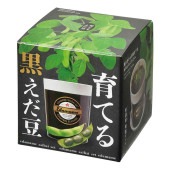 栽培セット 育てる黒えだ豆  【1個売り】|栽培セット
