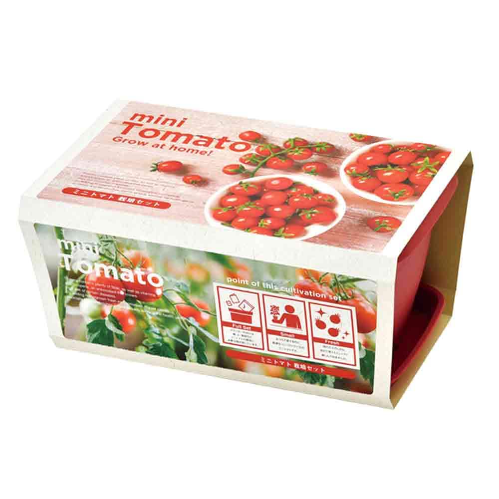栽培セット エンジョイPベジ ミニトマト 【1個売り】｜ 【植物の