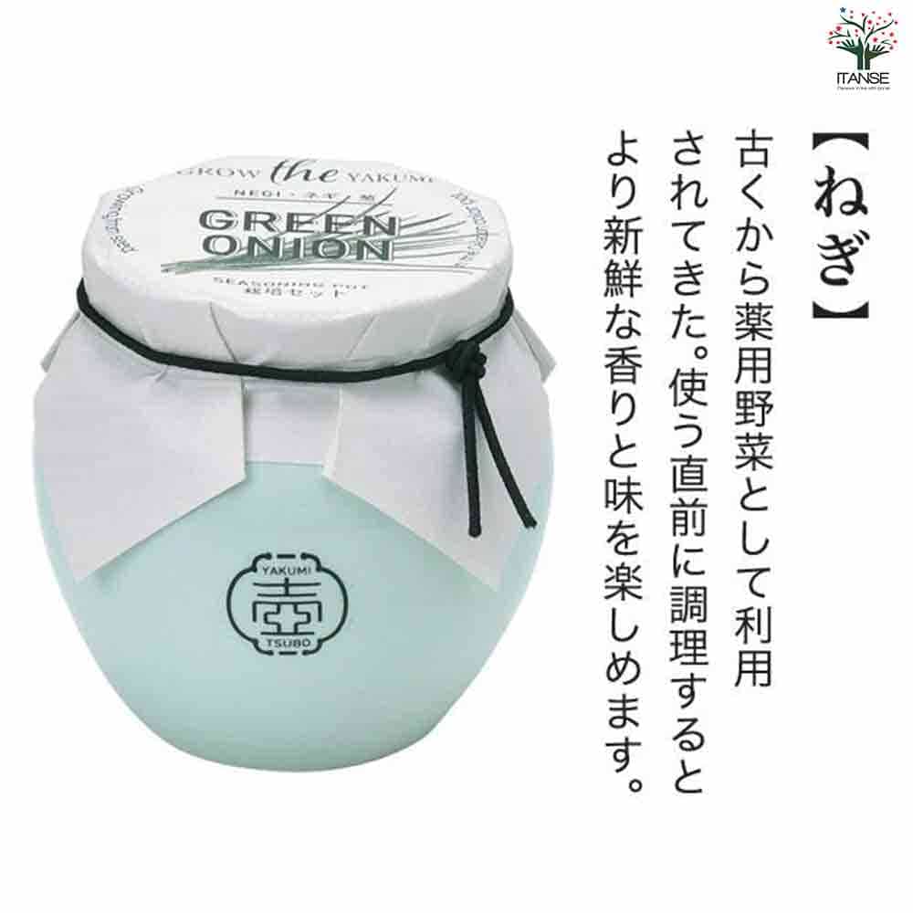栽培セット TSUBO ねぎ 【1個売り】｜ 【植物のITANSE】全品送料