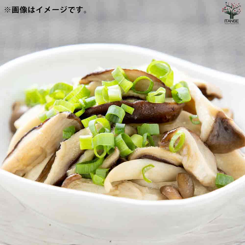 栽培セット TSUBO ねぎ 【1個売り】｜ 【植物のITANSE】全品送料