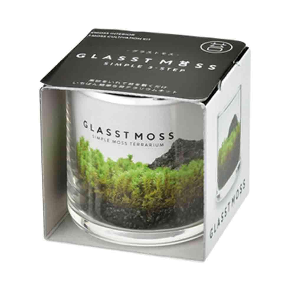 栽培セット グラストモス S 