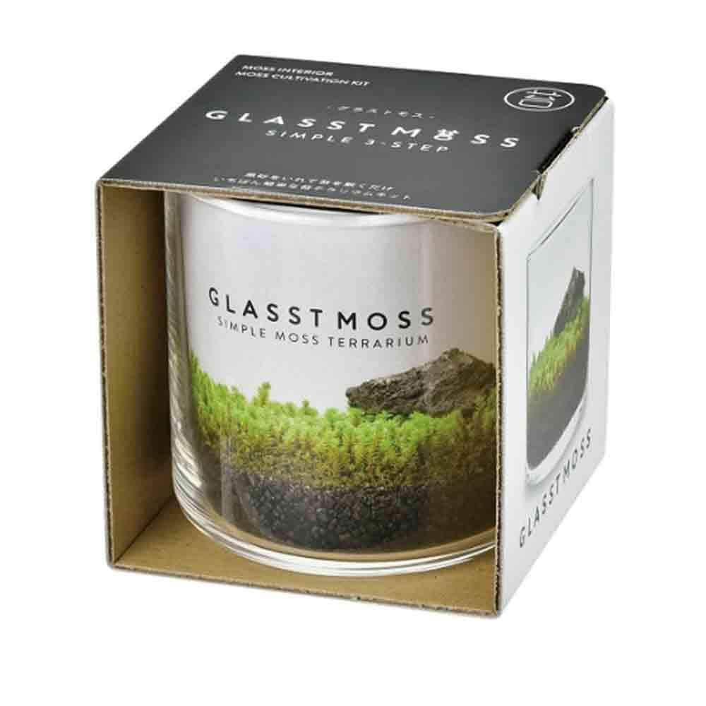 栽培セット グラストモス L  【1個売り】