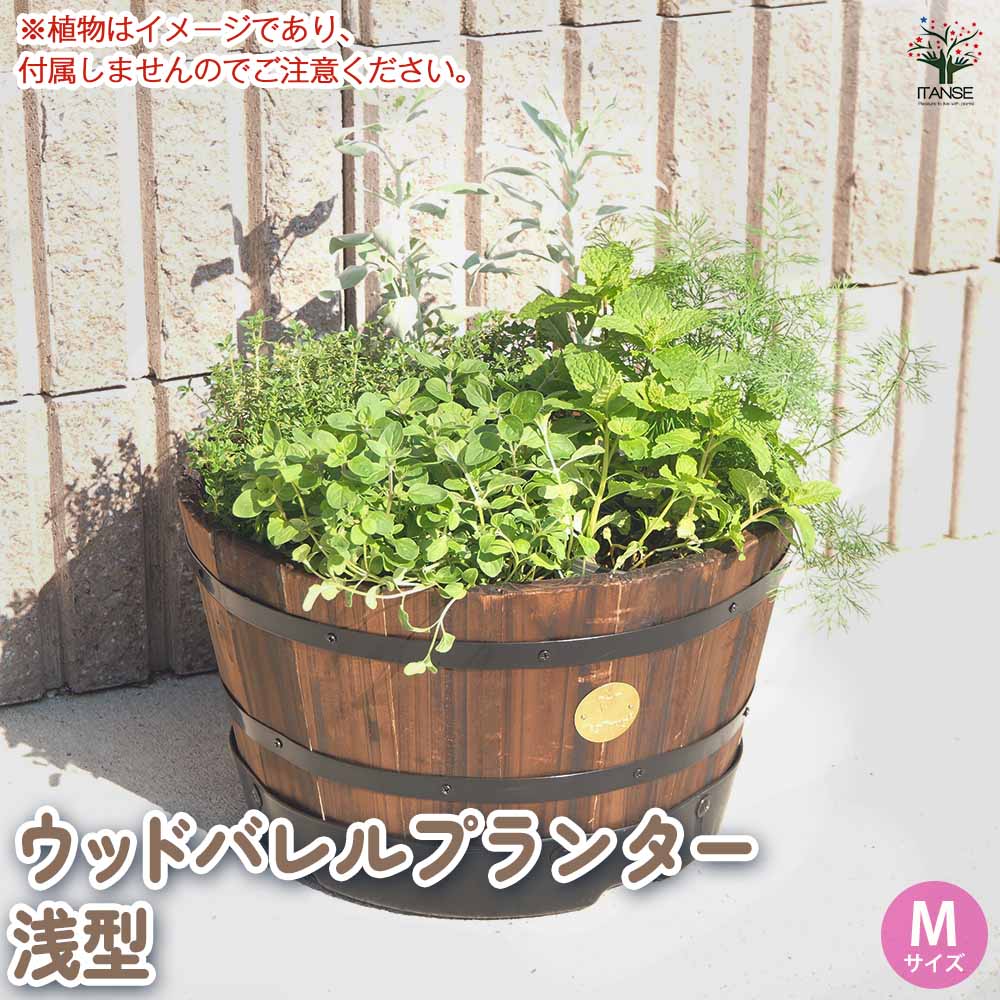 ウッドプランター 【資材 】｜ 【植物のITANSE】全品送料無料